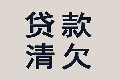 法院诉讼解决债务问题有何后果？